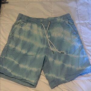 American Eagle Outfitters Light Blue Shorts